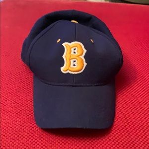 Fitted Bruin baseball hat.  I ordered wrong size .